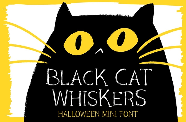 Przykładowa czcionka Black Cat Whiskers #1